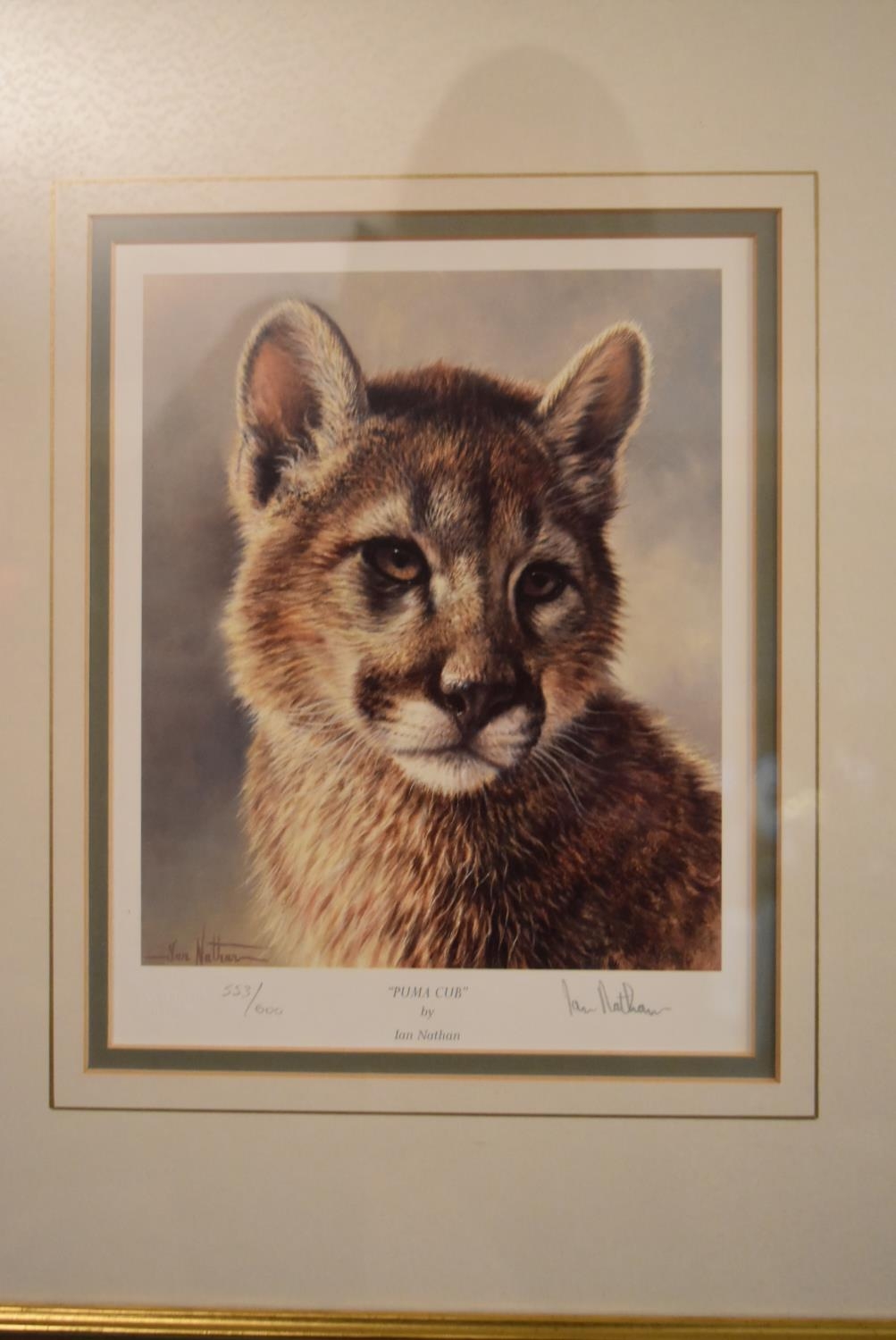 A set of four framed and glazed limited edition Ian Nathan prints, big cat portraits, signed and - Image 6 of 12