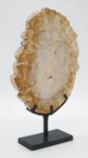 A slice of petrified tree on a metal display stand. H.28cm