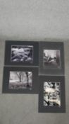 Hugh Sun - Four unframed signed black and white photographs of nature. Signed and titled by