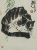 A framed and glazed Japanese ink drawing of a sleeping cat. With Japanese characters and artists