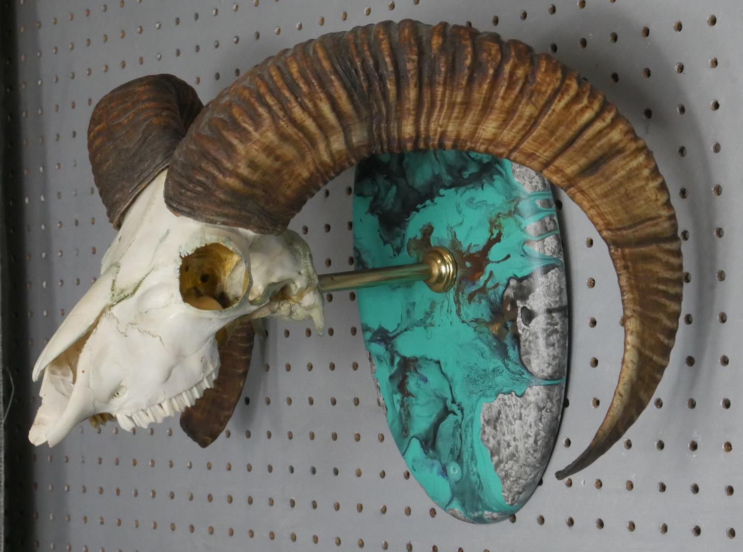 A mounted Rams skull and horns with gilded interior, mounted on a turquoise marble effect resin - Image 2 of 5
