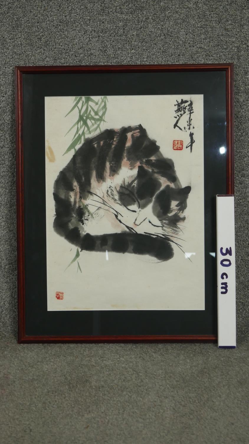 A framed and glazed Japanese ink drawing of a sleeping cat. With Japanese characters and artists - Image 7 of 7