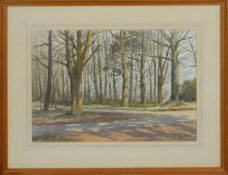 David William Burley (1901-1990) A framed and glazed watercolour titled 'Winter Sun at Quex',