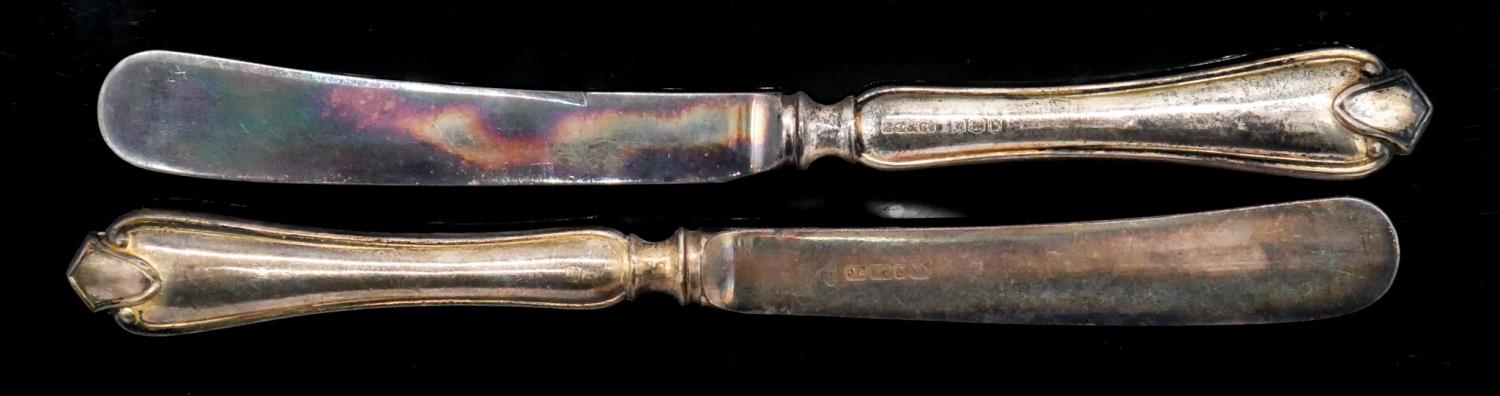 A lime green lined roll containing twelve Edwardian silver handled butter knives, silver plated - Image 2 of 6