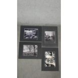 Hugh Sun - Four unframed signed black and white photographs of nature. Signed and titled by