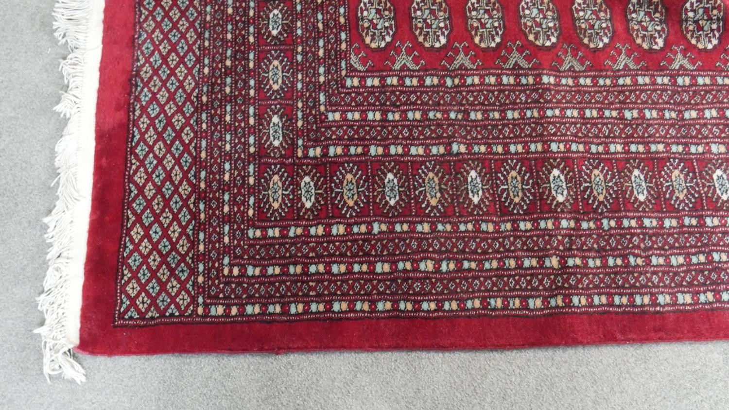 A Bokhara carpet with repeating gul motifs on a burgundy ground within multiple borders. L.358 W. - Image 4 of 5