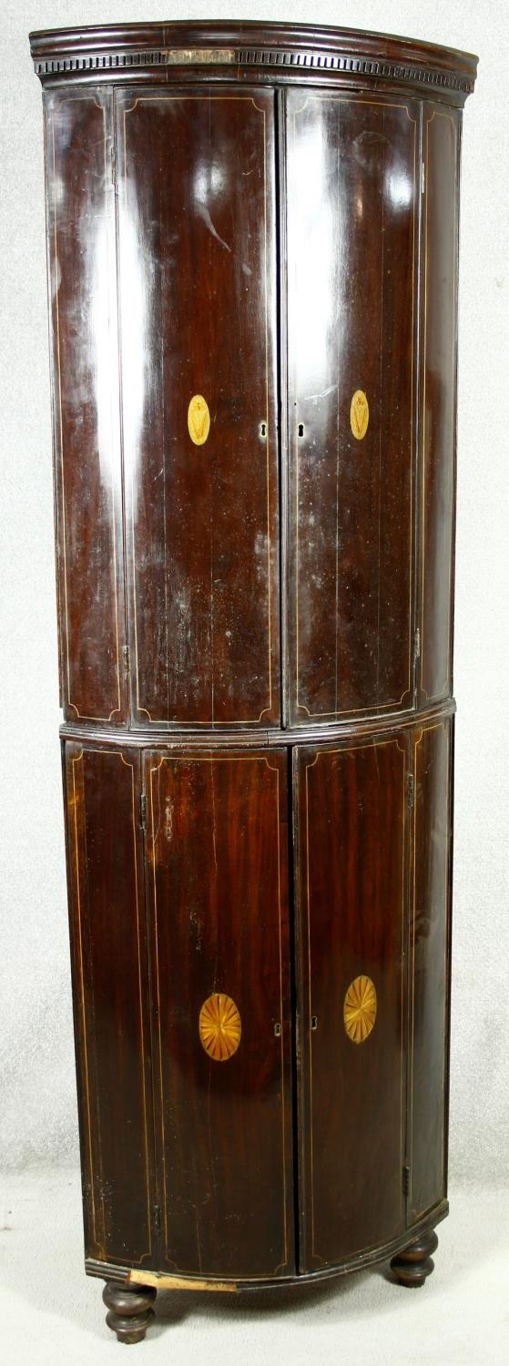 A Georgian mahogany bow fronted two section corner cabinet with satinwood stringing and conch