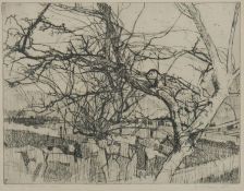 A framed and glazed signed etching titled 'Trees in Blaenavon', dated 1962, indistinctly signed. H.