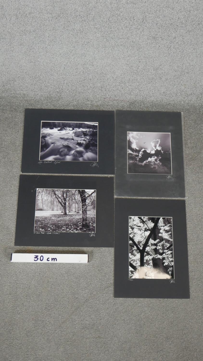 Hugh Sun - Four unframed signed black and white photographs of nature. Signed and titled by - Image 18 of 18