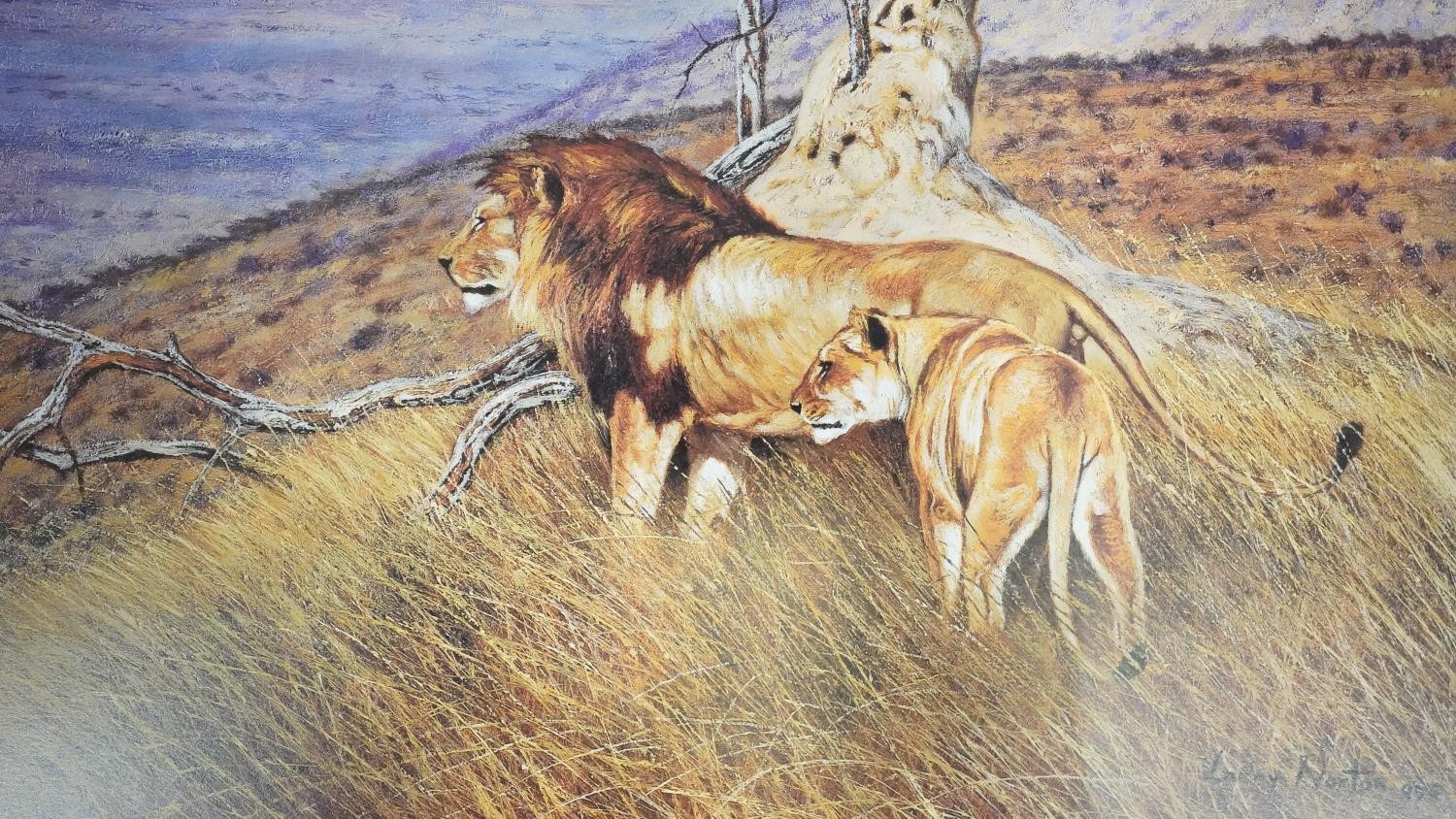 A set of five Larry Norton prints of the 'Big Five' safari animals in presentation folder. There are - Image 3 of 11
