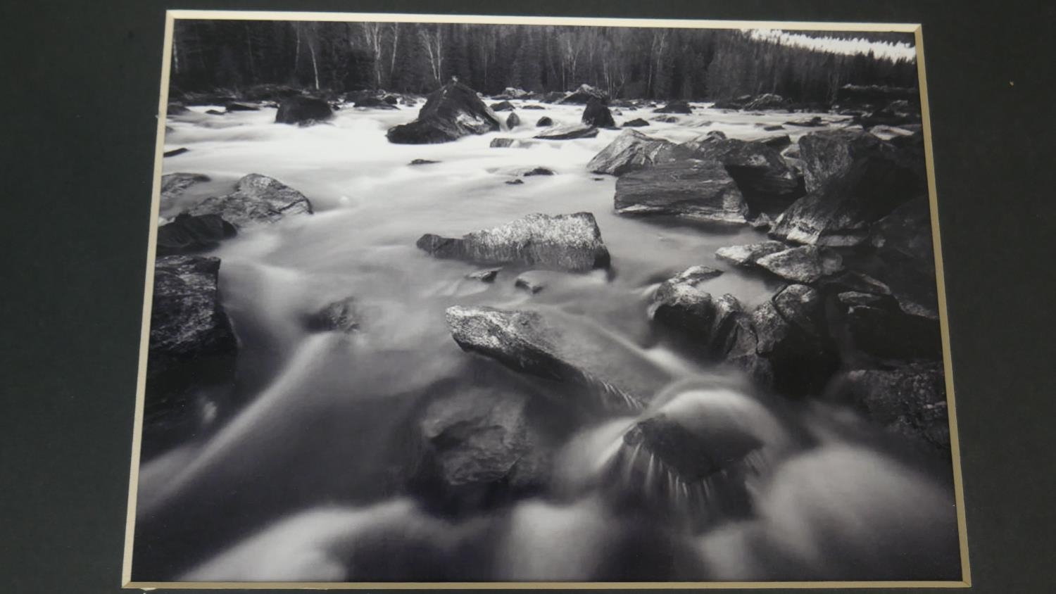 Hugh Sun - Four unframed signed black and white photographs of nature. Signed and titled by - Image 7 of 18