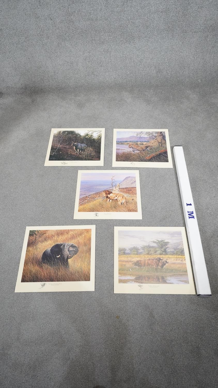 A set of five Larry Norton prints of the 'Big Five' safari animals in presentation folder. There are - Image 11 of 11