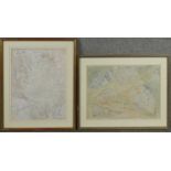 Two framed and glazed watercolours on paper, naturalistic studies, signed Cynthia Kemerer. H.65 W.