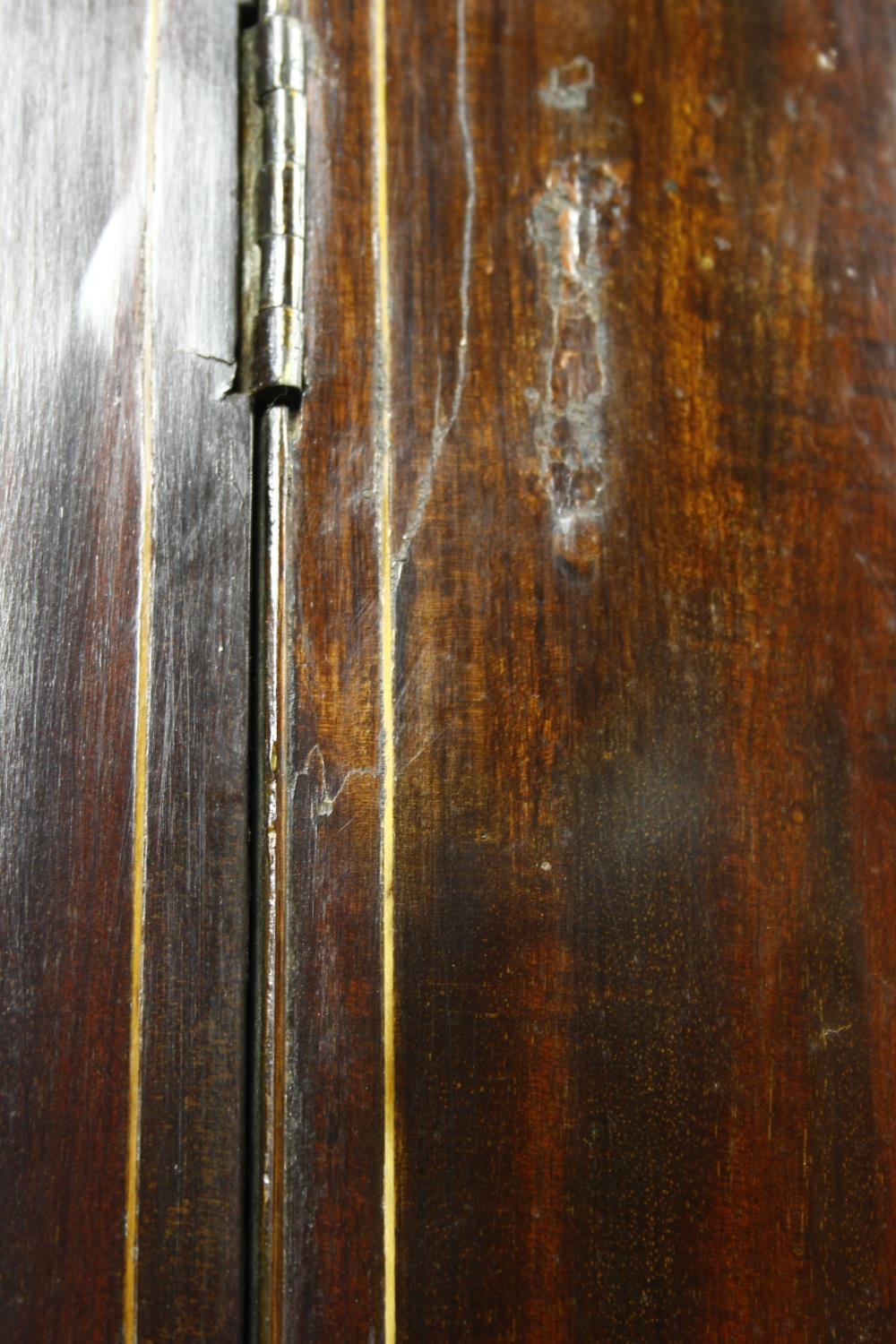 A Georgian mahogany bow fronted two section corner cabinet with satinwood stringing and conch - Image 4 of 18