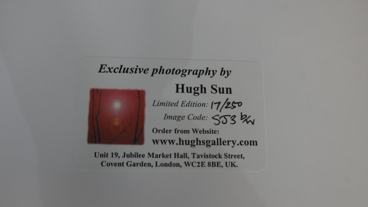 Hugh Sun - Four unframed signed black and white photographs of nature. Signed and titled by - Image 17 of 18