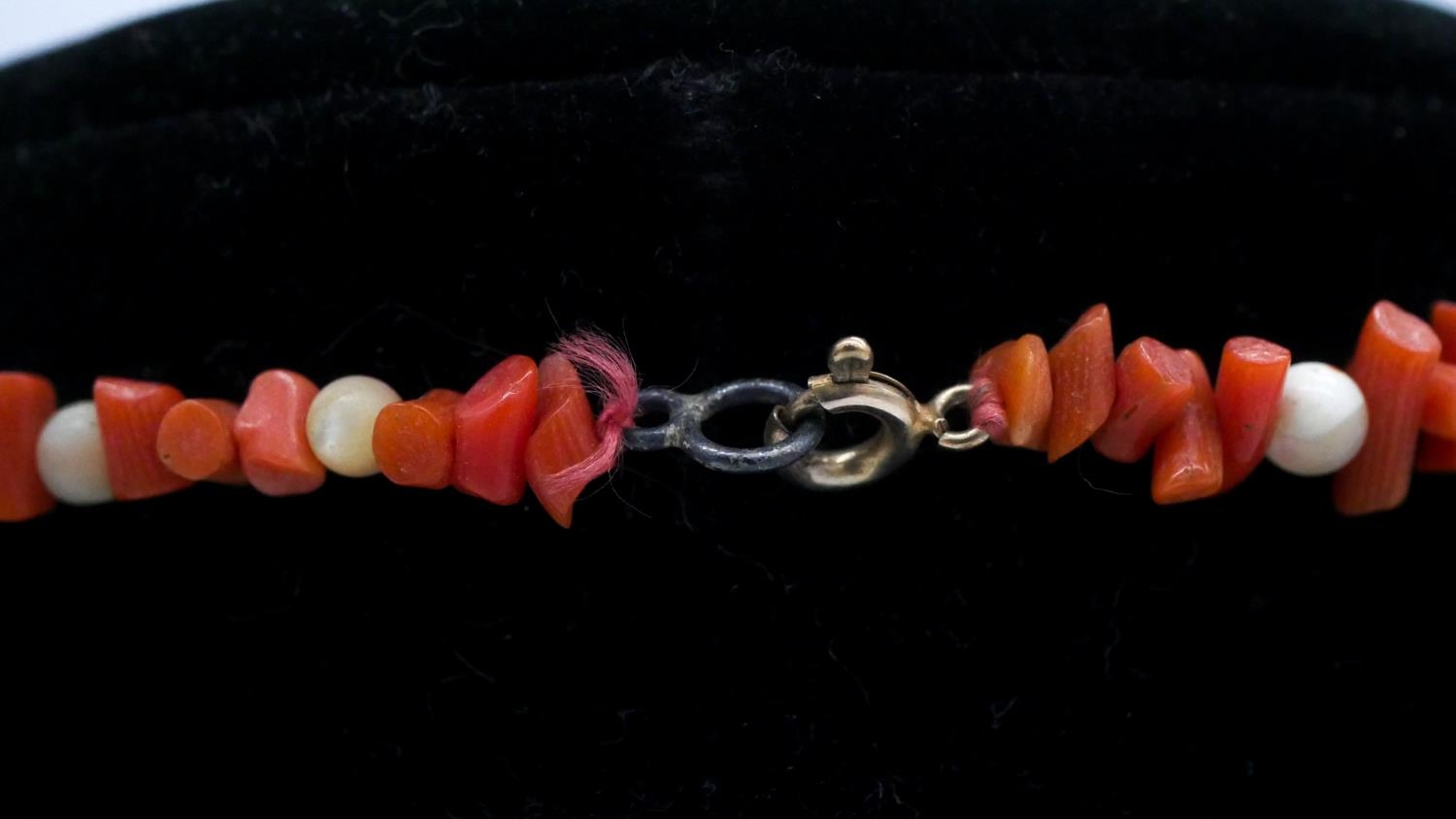 Two coral necklaces. One comprising of graduated sections of red branch coral and polished round - Image 4 of 8