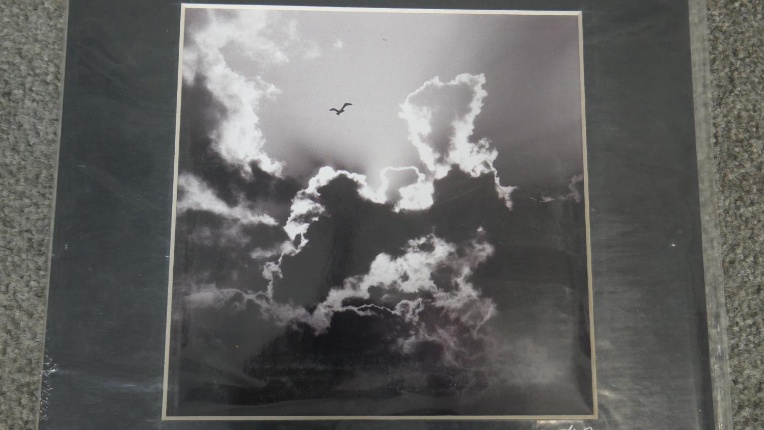 Hugh Sun - Four unframed signed black and white photographs of nature. Signed and titled by - Image 4 of 18