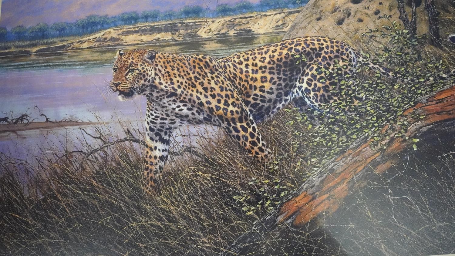 A set of five Larry Norton prints of the 'Big Five' safari animals in presentation folder. There are - Image 7 of 11