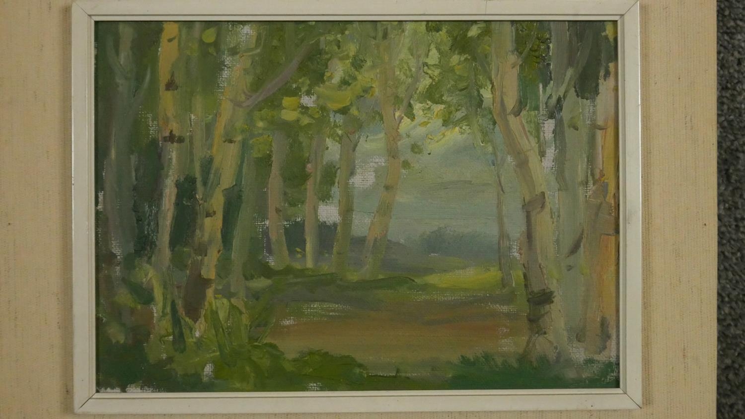 Four framed oils on board, landscape studies, indistinctly signed all by the same hand. H.35 W.45cm - Image 5 of 8
