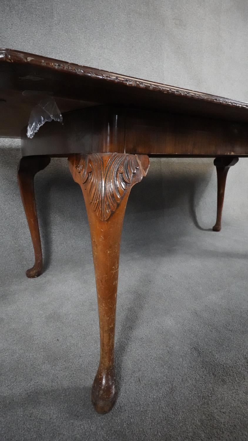 A mid century burr walnut Queen Anne style dining table with extra leaf. H.76 W.233 D.107cm - Image 5 of 7