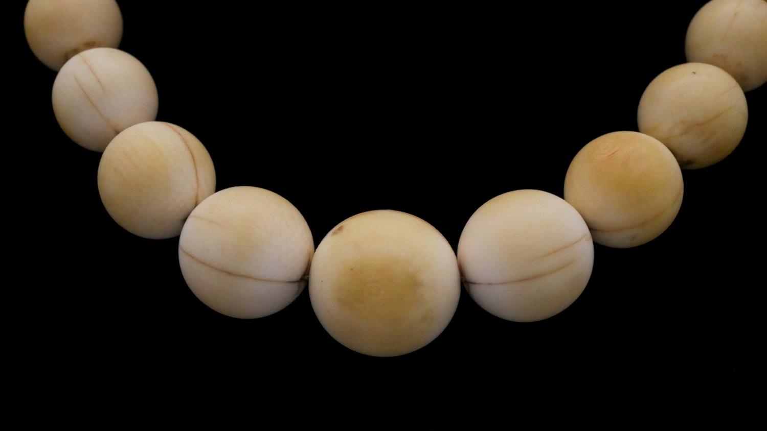 Two Victorian carved graduated ivory bead necklaces along with two Indian pierced bone bead - Image 9 of 10