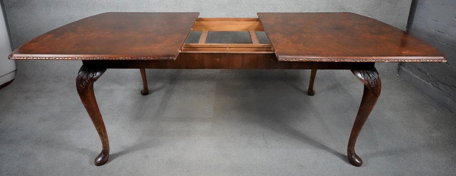A mid century burr walnut Queen Anne style dining table with extra leaf. H.76 W.233 D.107cm - Image 6 of 7