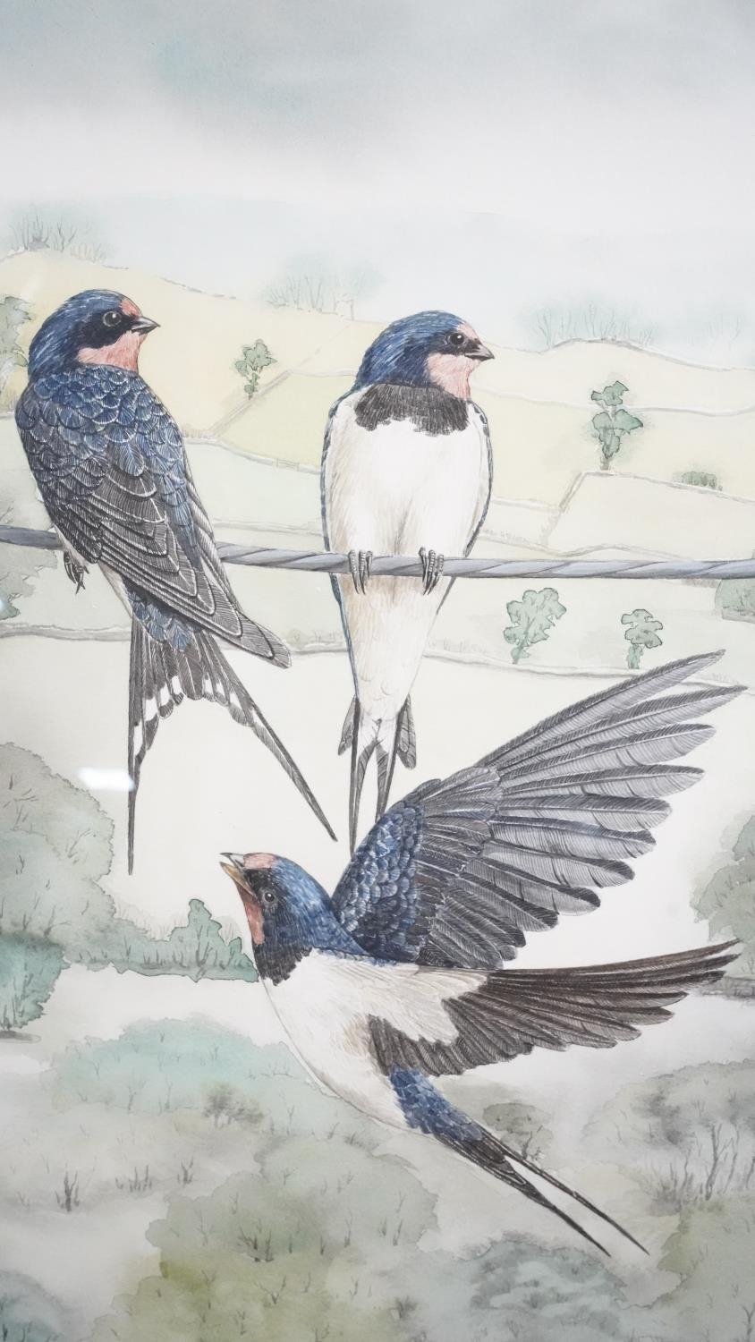 Two framed and glazed watercolours. One of a river with cows and one of swallows. H.46 W.66 - Image 2 of 8