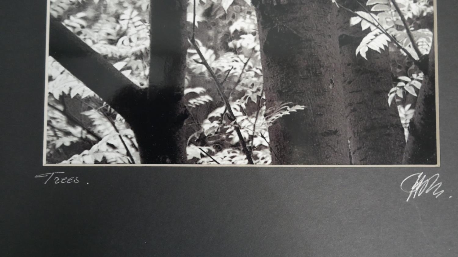 Hugh Sun - Four unframed signed black and white photographs of nature. Signed and titled by - Image 2 of 18