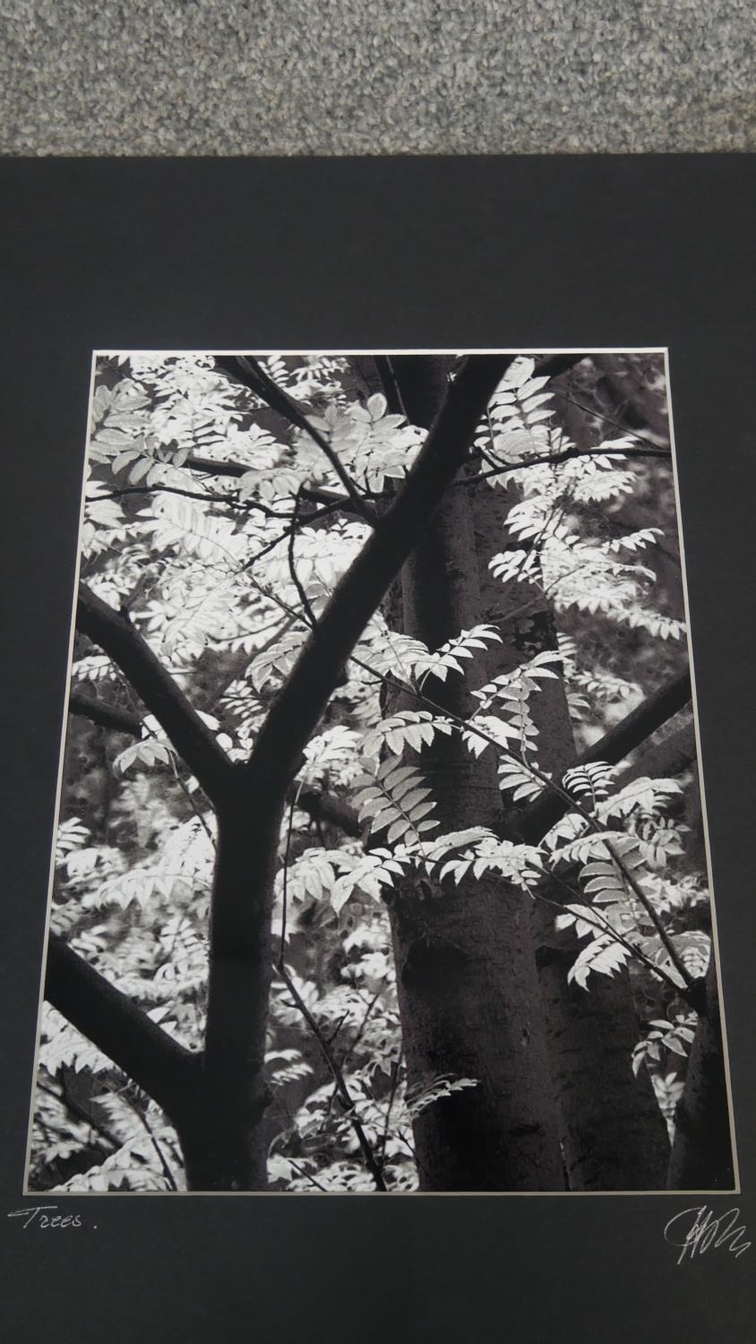 Hugh Sun - Four unframed signed black and white photographs of nature. Signed and titled by - Image 13 of 18