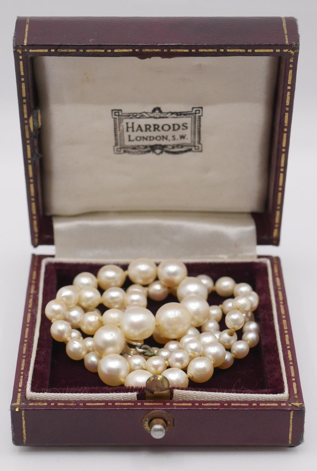 A 18 inch graduated and knotted cultured pearl necklace with 9 carat white gold clasp. Largest pearl