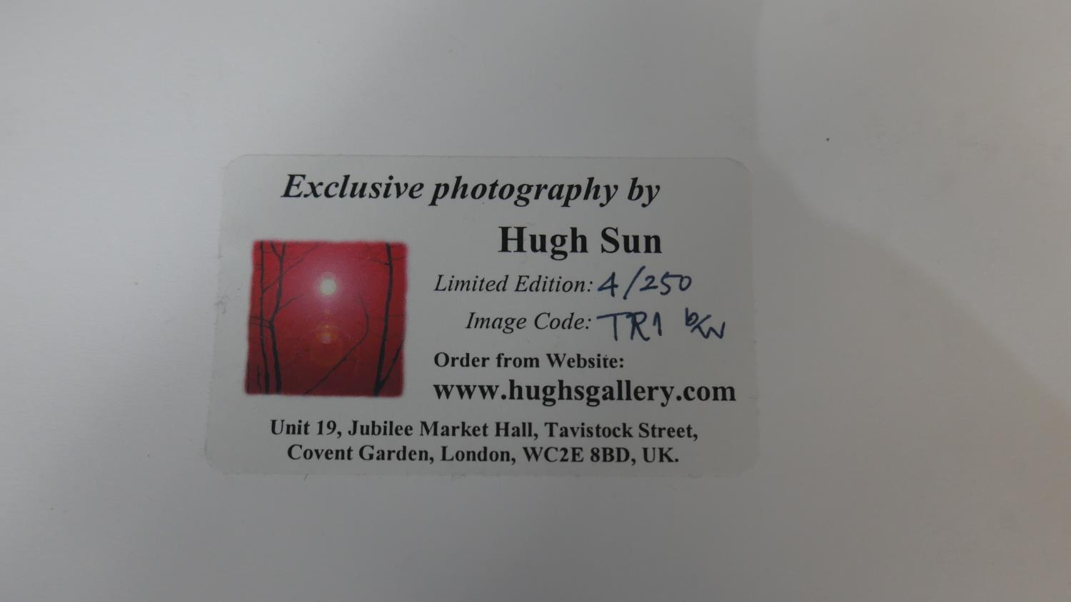 Hugh Sun - Four unframed signed black and white photographs of nature. Signed and titled by - Image 15 of 18
