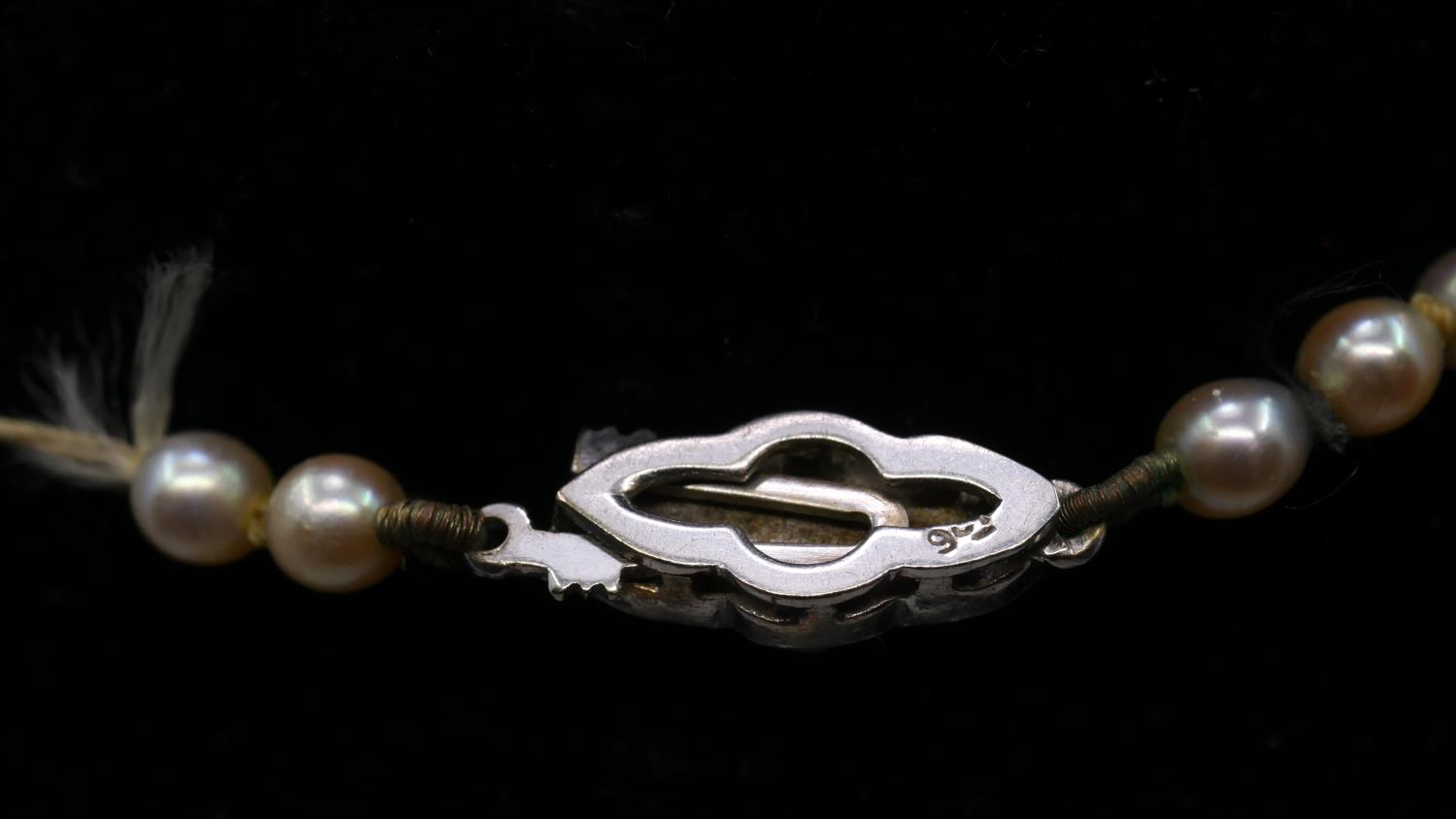A 18 inch graduated and knotted cultured pearl necklace with 9 carat white gold clasp. Largest pearl - Image 5 of 6