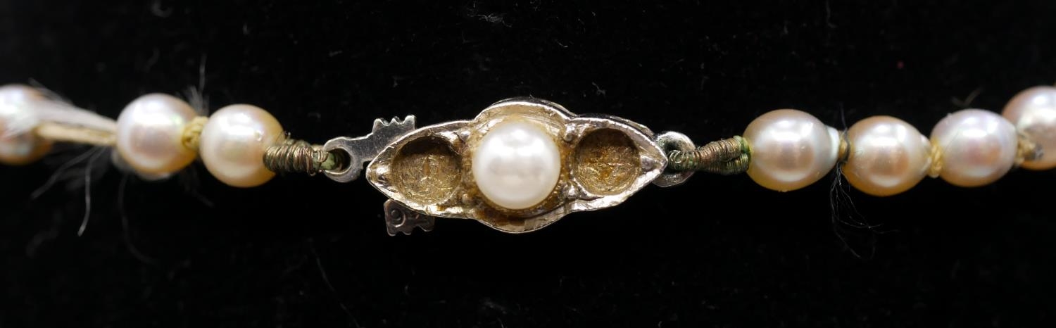 A 18 inch graduated and knotted cultured pearl necklace with 9 carat white gold clasp. Largest pearl - Image 4 of 6