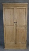 A 19th century pine full height pantry cupboard with panel doors enclosing shelves. H.200 W.102 D.