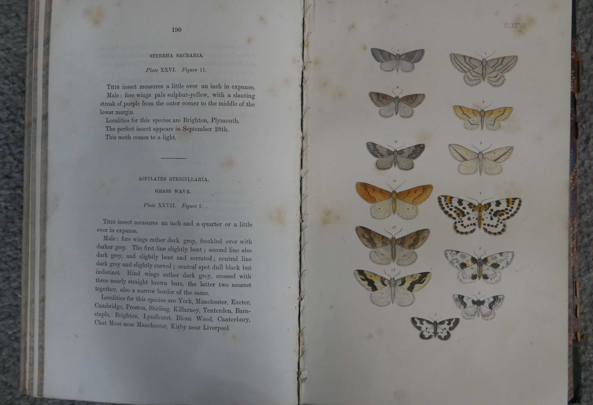 Morris, The Rev. F. O. A Natural History of British Moths, one volume, London: Longman Green, - Image 6 of 6
