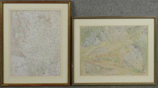 Two framed and glazed watercolours on paper, naturalistic studies, signed Cynthia Kemerer. H.65 W.