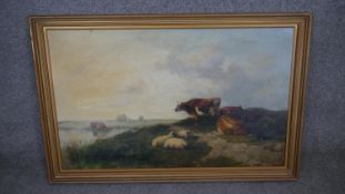 A 19th century oil on canvas, cows and sheep in a landscape, unsigned. H.70 W.88cm
