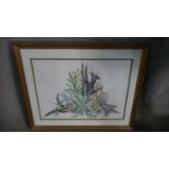 A framed and glazed watercolour, succulent study. H.55 W.65cm