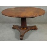 An early 19th century flame mahogany tilt top dining table with gadrooned edge on platform base. H.