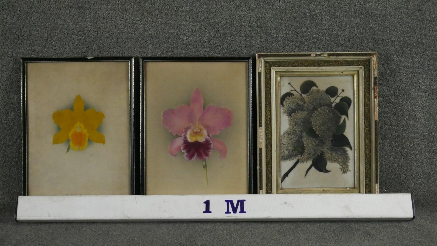 Two 19th century framed and glazed watercolours of orchids, monogrammed N.R and annotated along with - Image 7 of 7