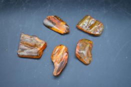 Five pieces of natural Baltic amber. L.4cm (largest piece) Weight. 51g