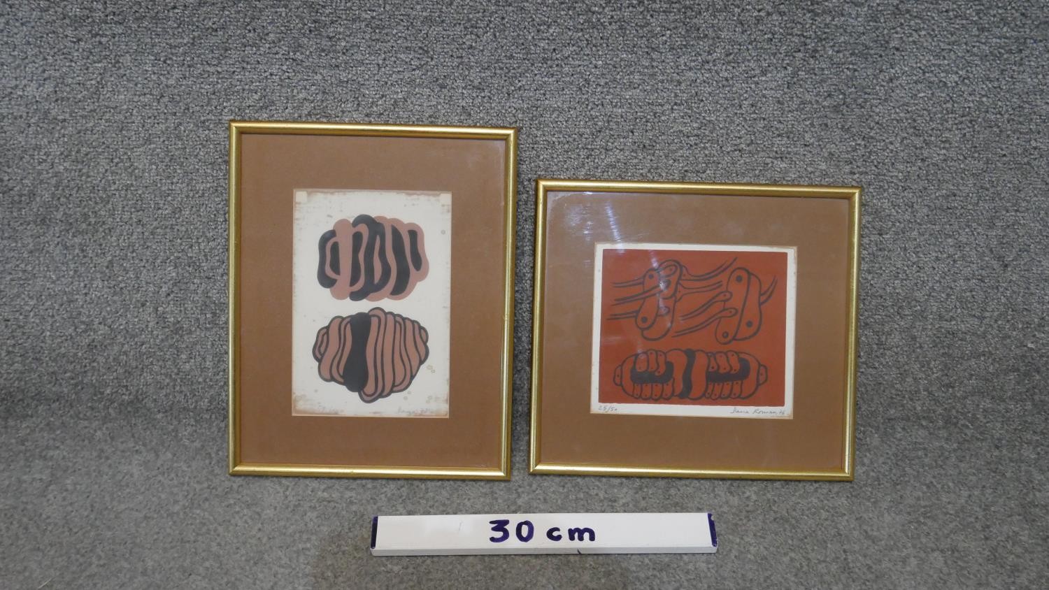 Dana Roman (20th Century) Two framed and glazed abstract coloured lithographs. Edition 59/100 and - Image 2 of 6