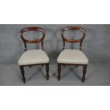 A pair of Victorian mahogany balloon back dining chairs with newly upholstered stuffover seats on