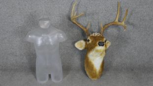 A vintage fibreglass manequin of a male torso along with a plush toy wall mounted stags head with