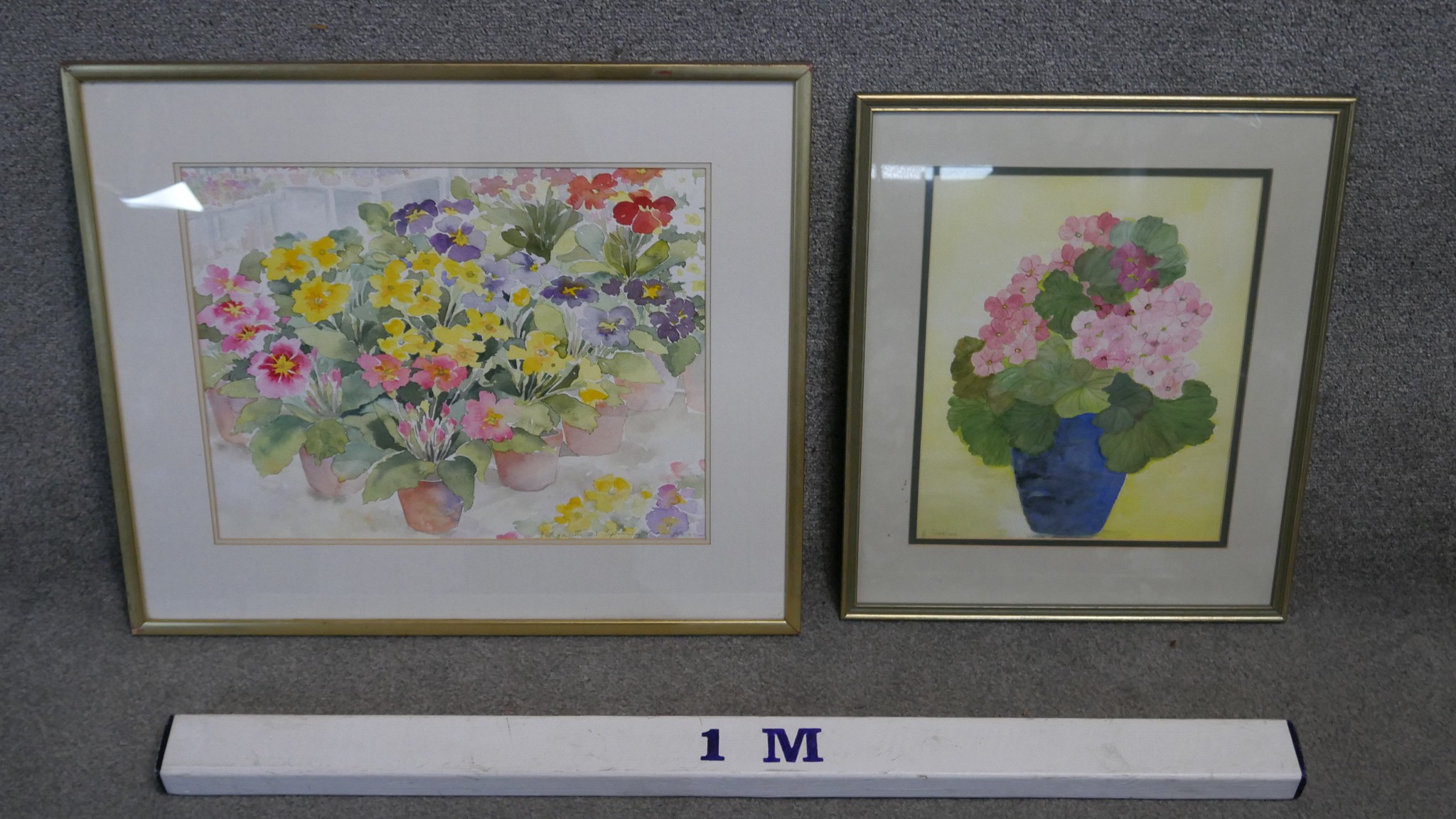 Two framed and glazed watercolour floral studies. H.55 W.63cm (Largest). - Image 2 of 5