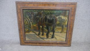 A framed oil on canvas, study of shire horses, indistinctly signed. H.70 W.85cm