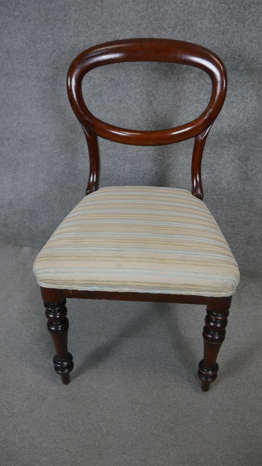 A pair of Victorian mahogany balloon back dining chairs with newly upholstered stuffover seats on - Image 2 of 4