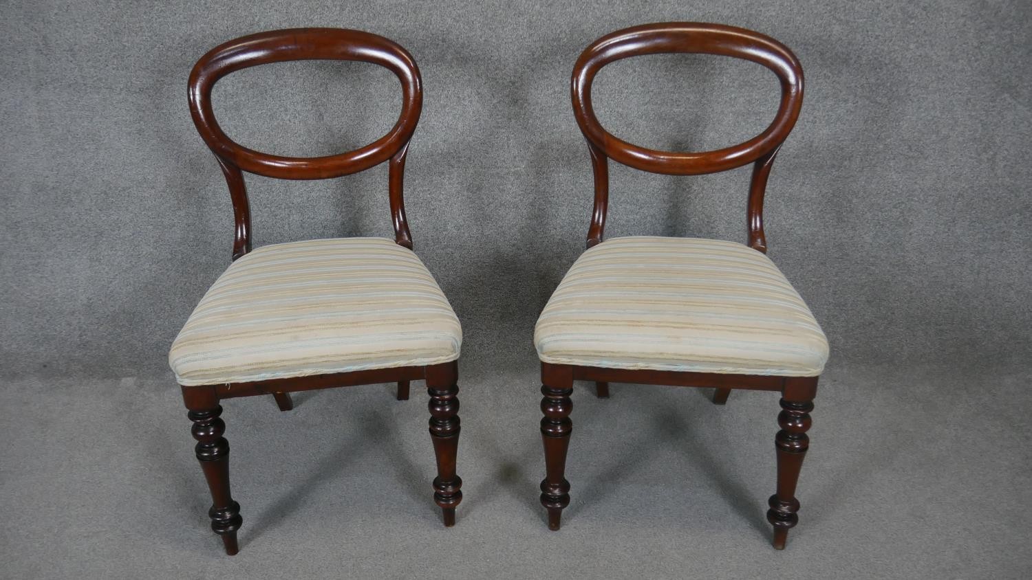 A pair of Victorian mahogany balloon back dining chairs with newly upholstered stuffover seats on