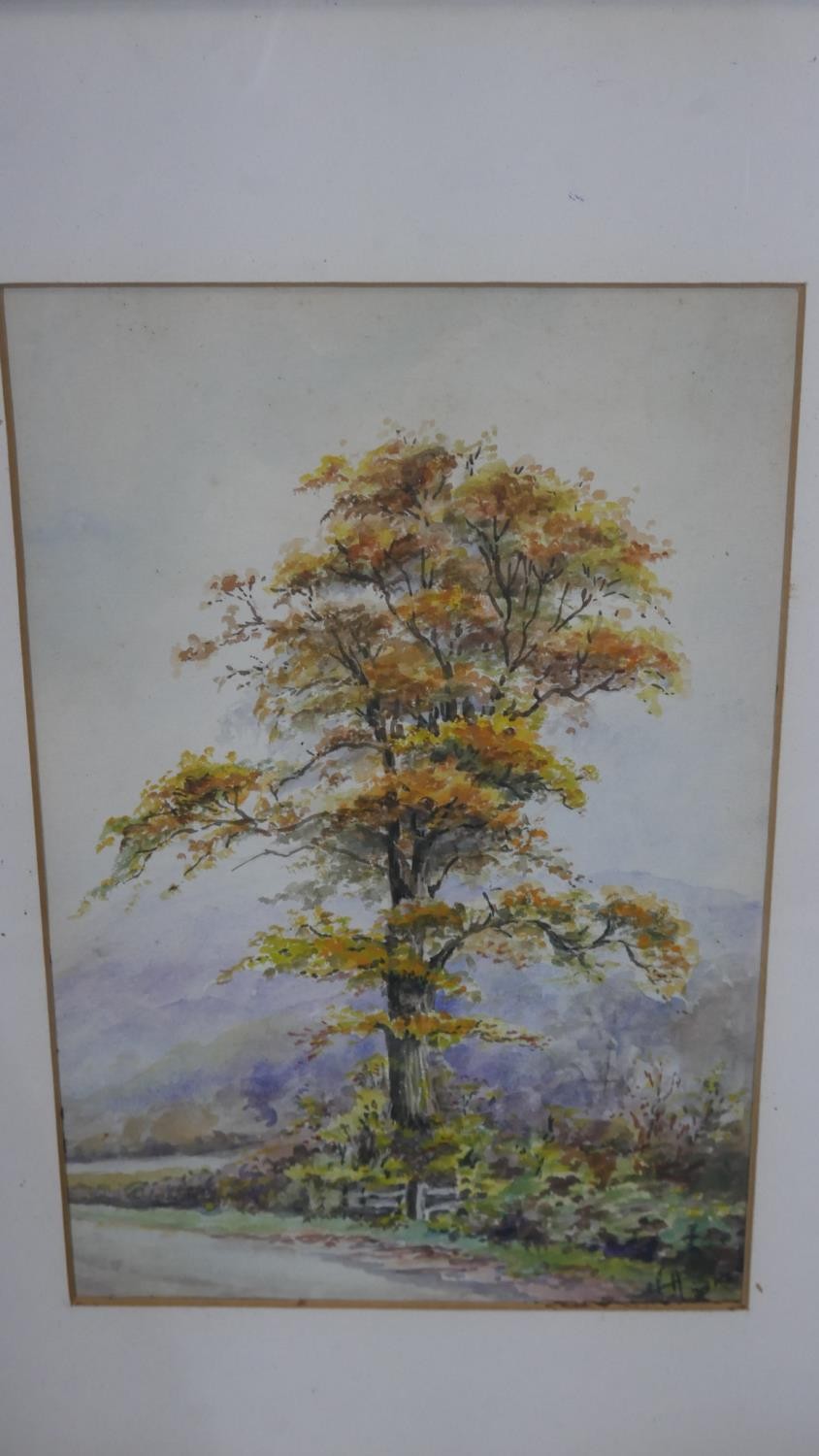 Two framed and glazed watercolor landcapes. One of a woodland river signed A. Potts the other of a - Image 4 of 11