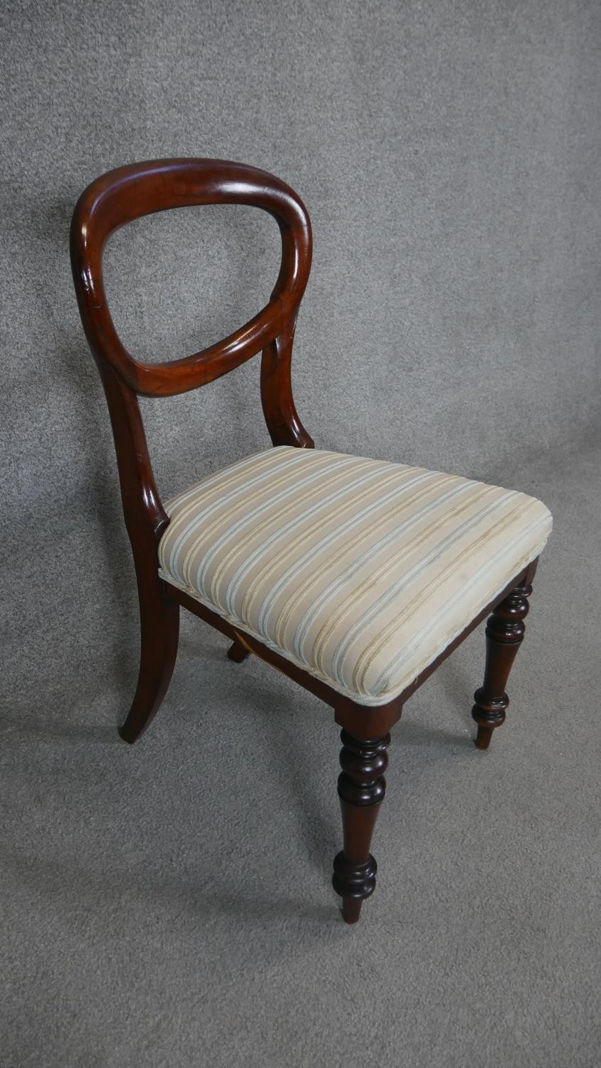 A pair of Victorian mahogany balloon back dining chairs with newly upholstered stuffover seats on - Image 3 of 4